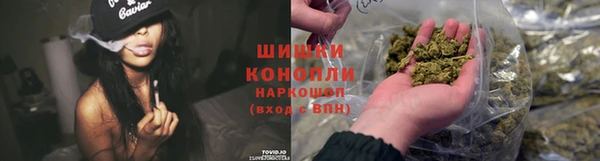 шишки Алзамай