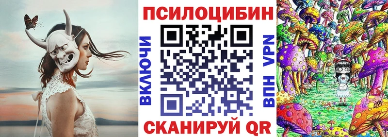 kraken   Советский  Псилоцибиновые грибы Psilocybine cubensis 