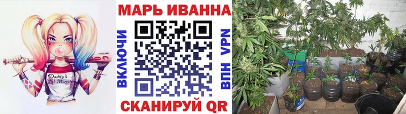 Шишки марихуана конопля  Советский 